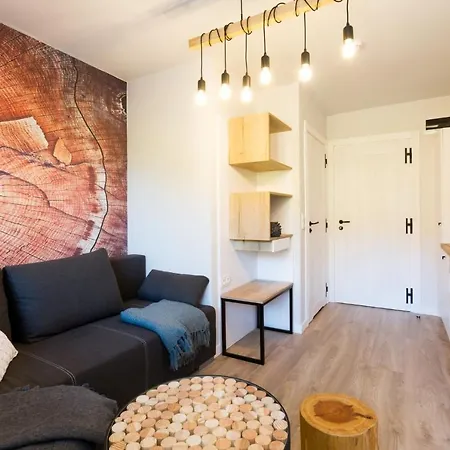 Apartamenty Willa Marko Z Sauna, Grillowiskiem I Rowerownia - Dream Apart Szczyrk Exterior photo